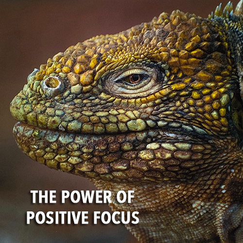 The Power Of Positive Focus