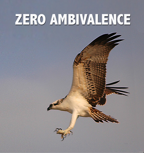 Zero Ambivalence